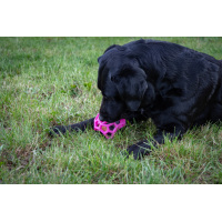 Dog Comets Moonstone Leckerkubus Rosa