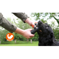 Dog Comets Meteor Wurfstock Grün S