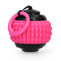 Dog Comets Blazar Jet Rosa