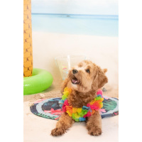 CoolPets Tropical Premium Cooling Mat Flower