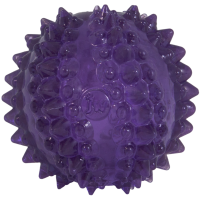 JW Puppy - Bristl-ee Cactus Ball