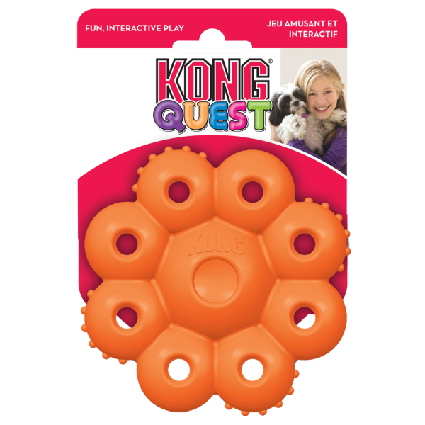 KONG Quest Star Pod S