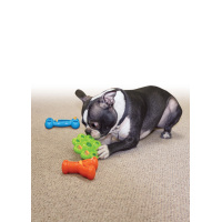 KONG Quest Star Pod S