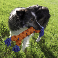 KONG Rope Rally Knochen