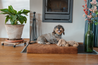 Lets Sleep Mellow Mattress Orthopädisches Bett XL...