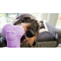 Moodies El Tranquilo