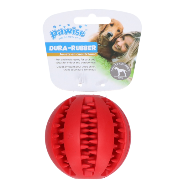 Pawise Dura-Rubber Ball Rot