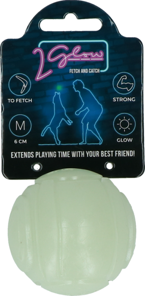 2 Glow Fetch & Play