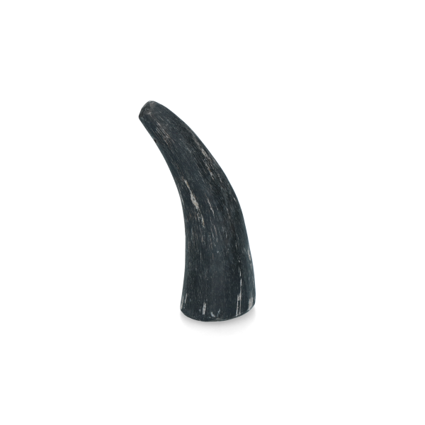 Viking Horn Whole S
