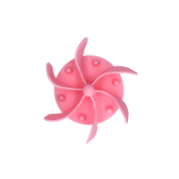 Eat Slow Live Longer Gobble Stopper Rosa S