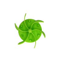 Eat Slow Live Longer Gobble Stopper Grün S