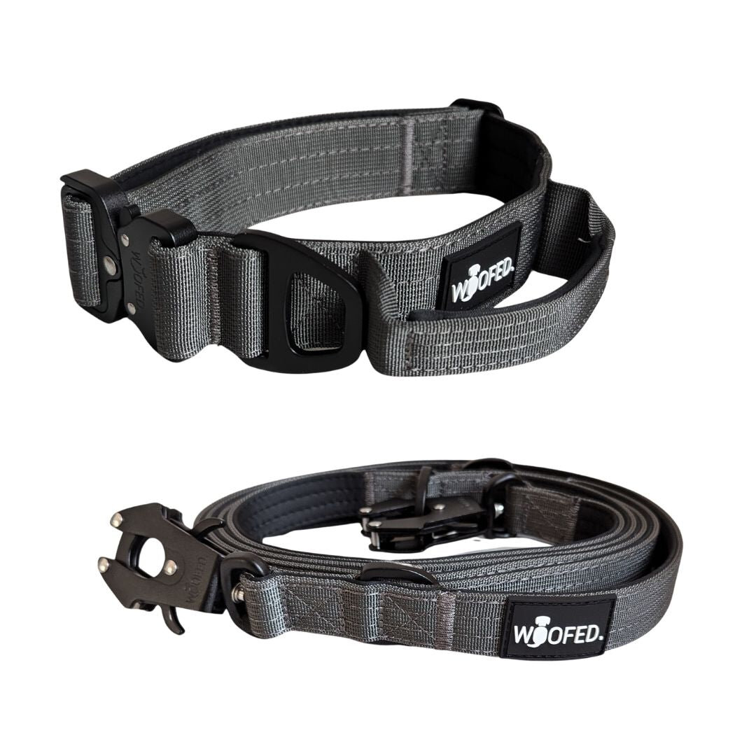 Nylon Halsband-Leine-Set Anthracite ultraleicht, 75,95