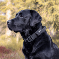 Nylon Halsband-Leine-Set Deep Black ultraleicht