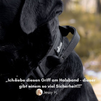 Nylon Halsband-Leine-Set Deep Black ultraleicht