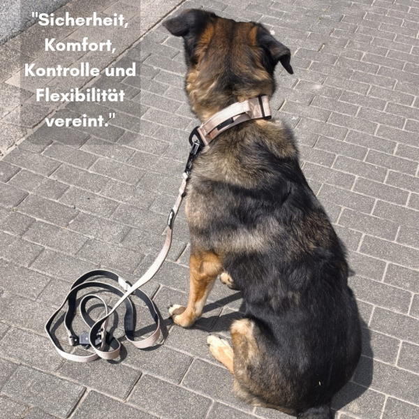 Nylon Halsband-Leine-Set Desert Tan ultraleicht