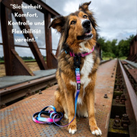 Nylon Halsband-Leine-Set Pink Blue Sky ultraleicht