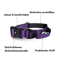 Nylon Halsband-Leine-Set Velvet Purple ultraleicht