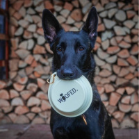 Reisenapf faltbar 500ml