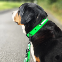 Biothane Tactical Reflective Führleine