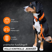 Führleine WOOFLEX® Classic verstellbar Sunset...