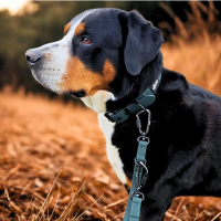 Führleine WOOFLEX® Pro verstellbar Hunting Green