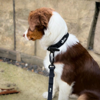 Führleine WOOFLEX® Pro verstellbar Phantom Black