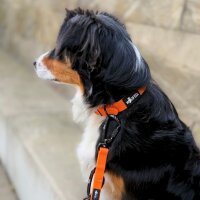 Führleine WOOFLEX® Pro verstellbar Sunset Orange