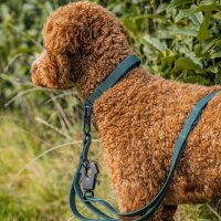 Führleine WOOFLEX® Tactical verstellbar Hunting...