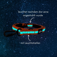 Nylon Führleine Pro Orange Glow