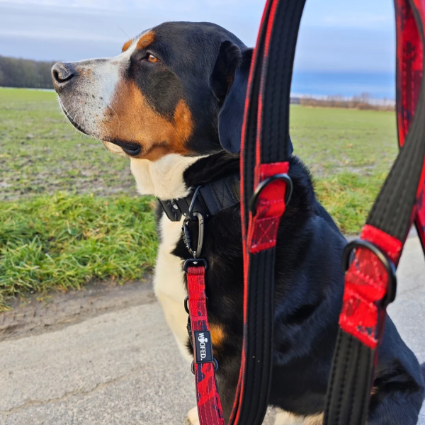 Nylon Führleine Pro Red Camo