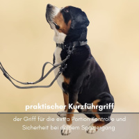 taktische Nylon Führleine Anthracite