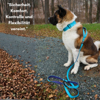 taktische Nylon Führleine Arctic Sky