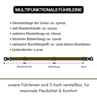 taktische Nylon Führleine Dark Brown