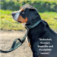 taktische Nylon Führleine Dark Green