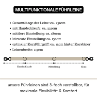 taktische Nylon Führleine Desert Tan