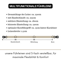 taktische Nylon Führleine Desert Tan