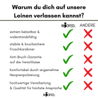 taktische Nylon Führleine Noble Olive