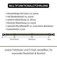 taktische Nylon Führleine Noble Olive