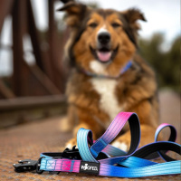 taktische Nylon Führleine Pink Blue Sky