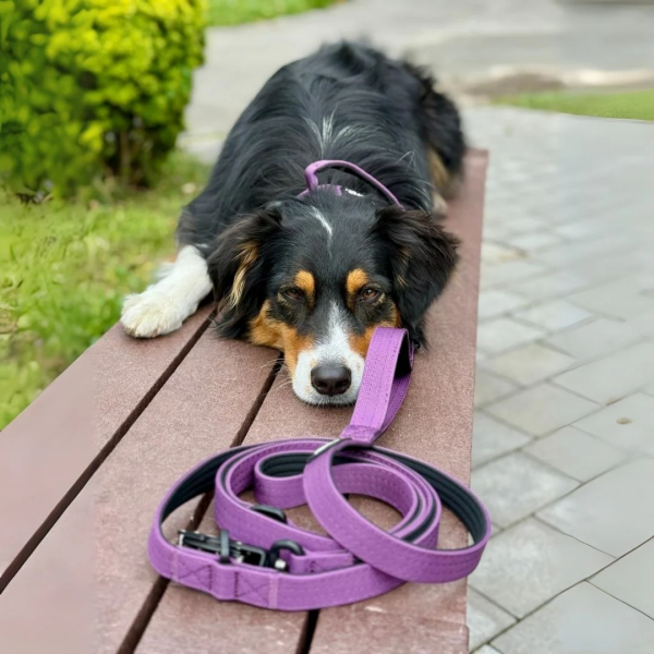 taktische Nylon Führleine Velvet Purple