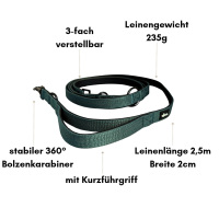 Nylon Classic Führleine Dark Green