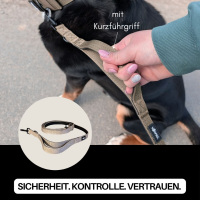 Nylon Classic Führleine Desert Tan