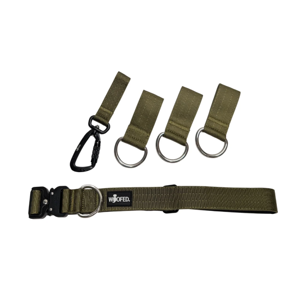 Gassigürtel Military Olive - verstellbar mit taktischer Schnalle - ultraleicht