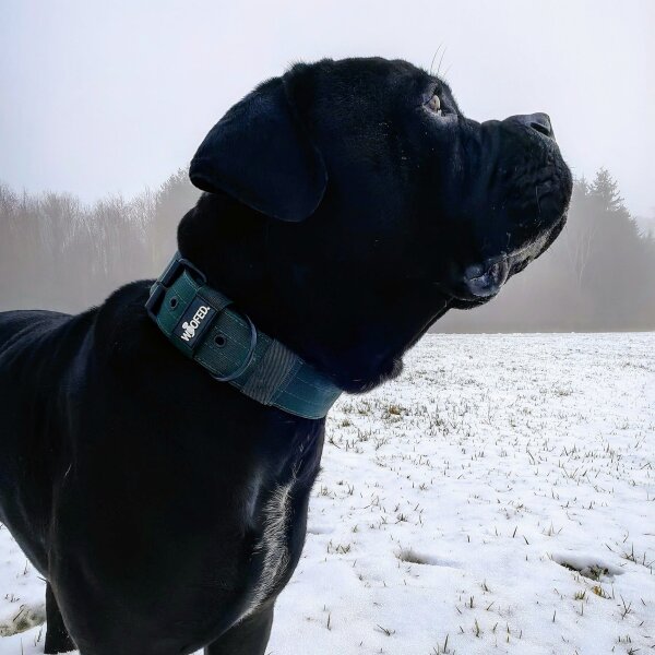 Nylon Classic Halsband Dark Green