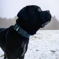 Nylon Classic Halsband Dark Green