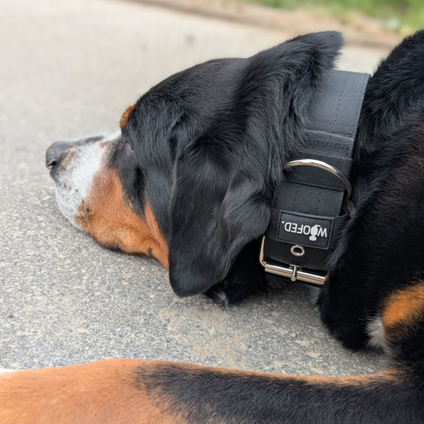 Nylon Classic Halsband Deep Black