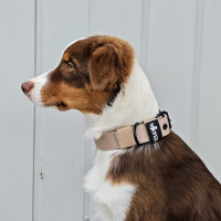 Nylon Classic Halsband Desert Tan