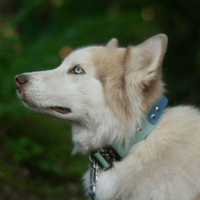 Biothane Tactical Halsband mit Griff