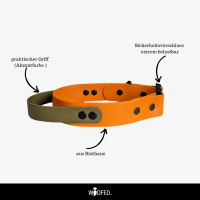 Biothane Tactical Halsband mit Griff