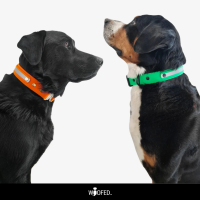 Biothane Tactical Reflective Halsband